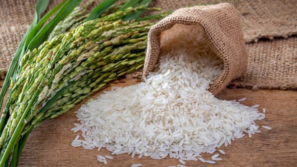 Nằm mơ thấy gạo, thóc lúa liên quan đến con số gì ? Điềm báo gì ? Đánh con gì ?