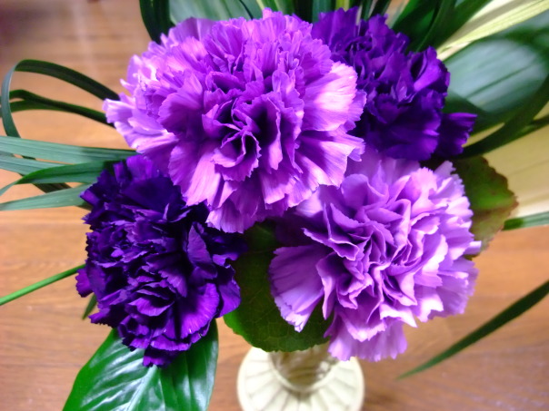 hoa cẩm chướng tím